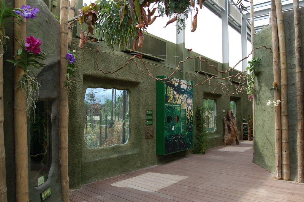 Inside Realm of the red ape 2