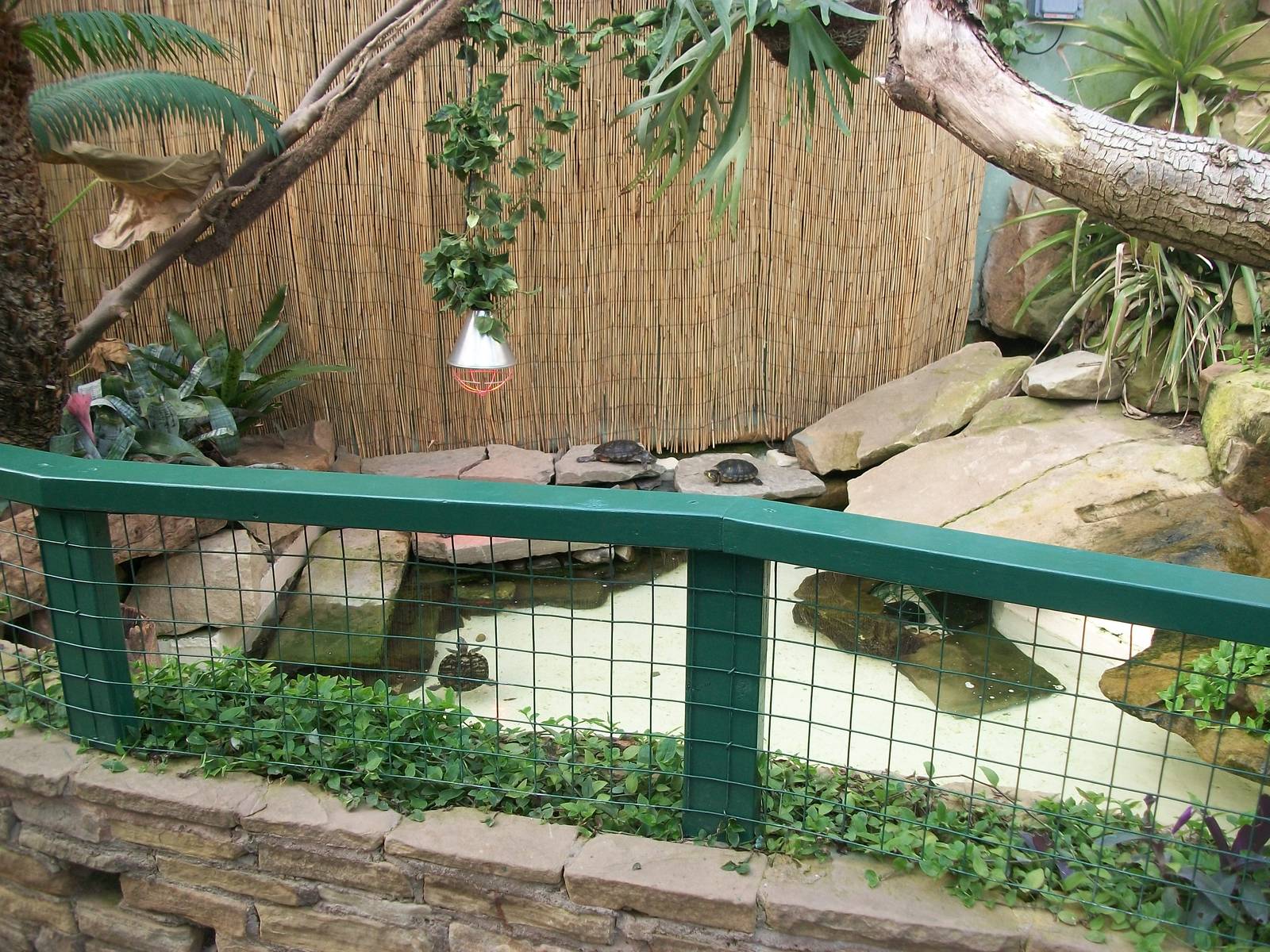 Inside Reptile House 19th May 2013