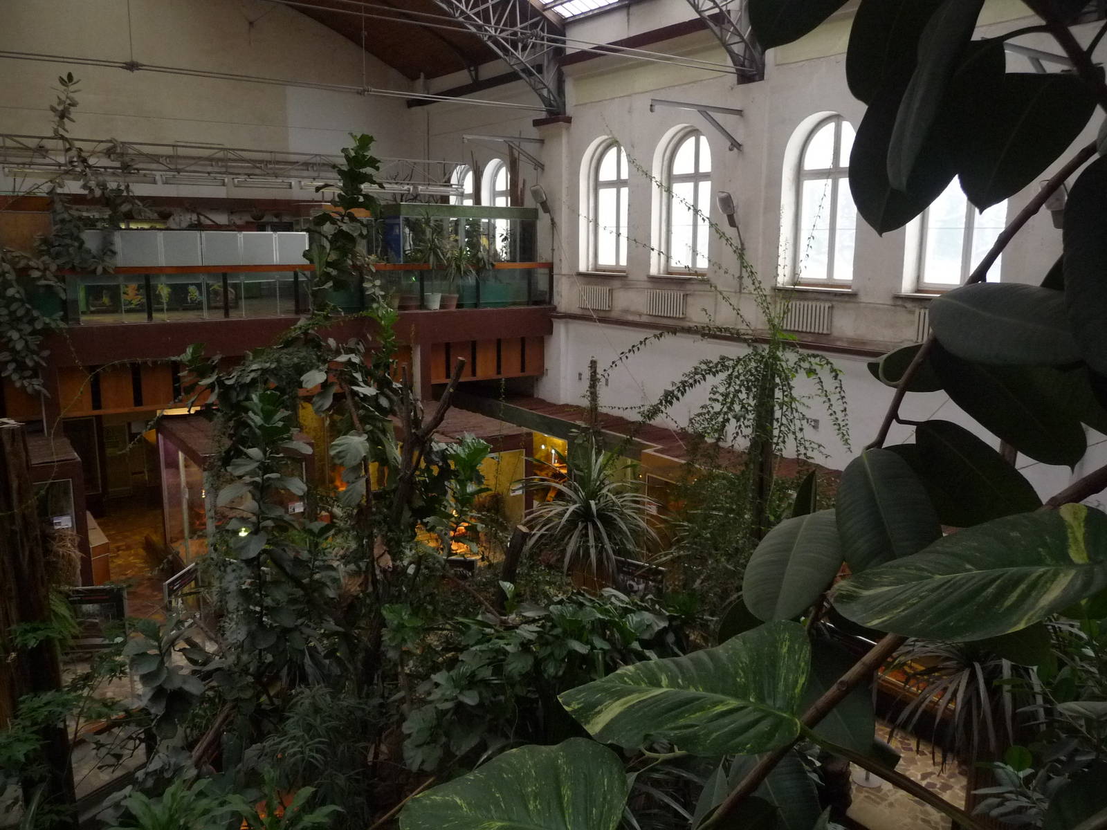 Inside Reptile House