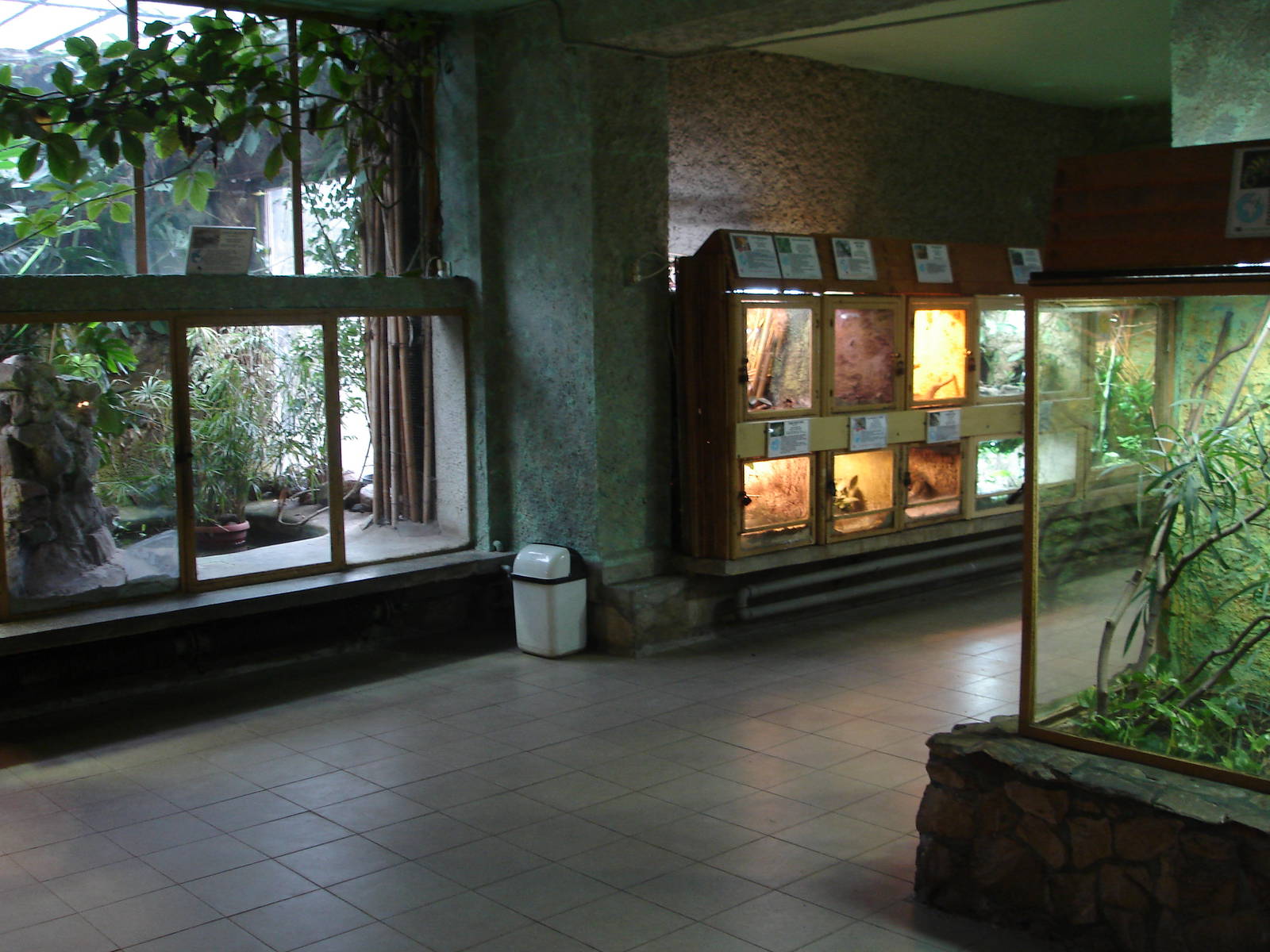 Inside Reptile House