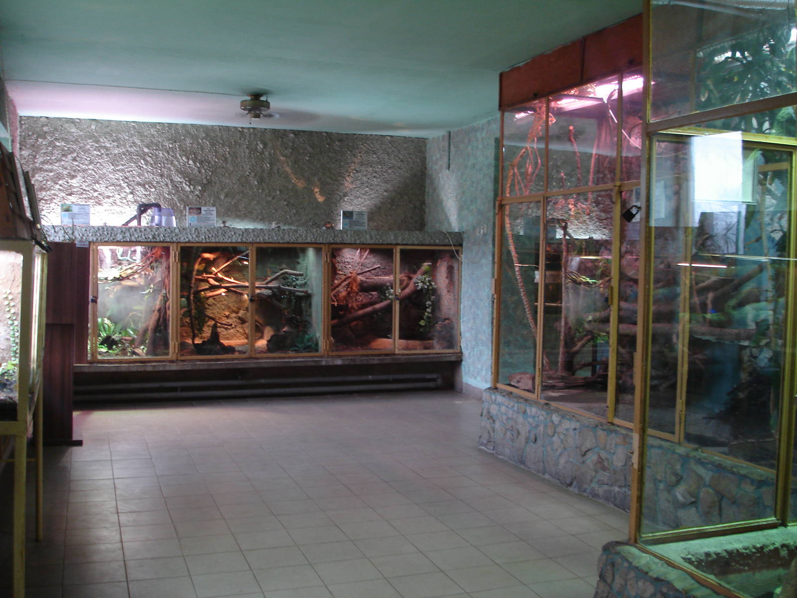 Inside Reptile House