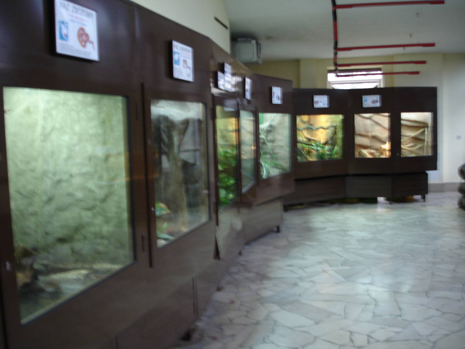 Inside reptile house