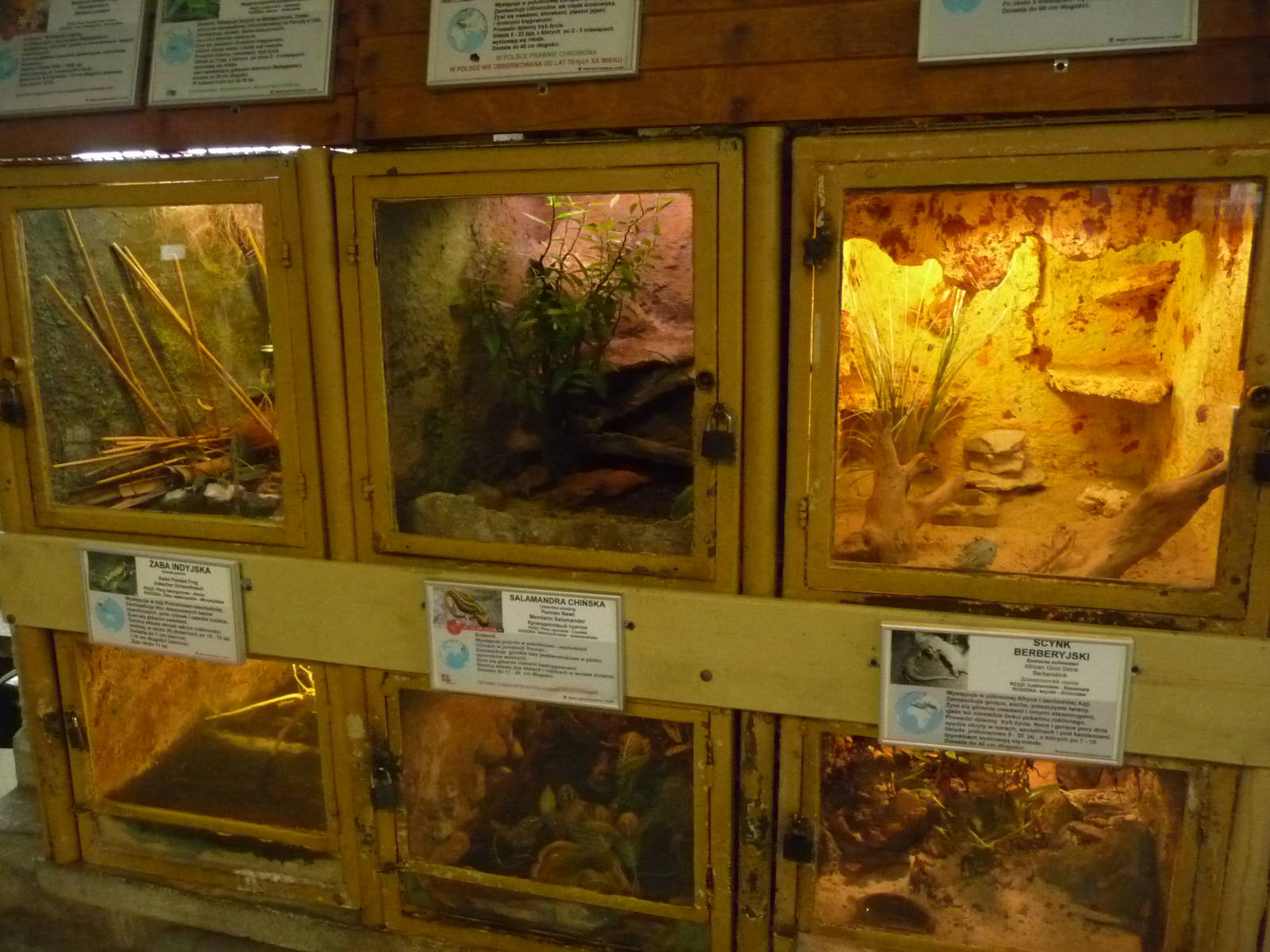 Inside reptile house
