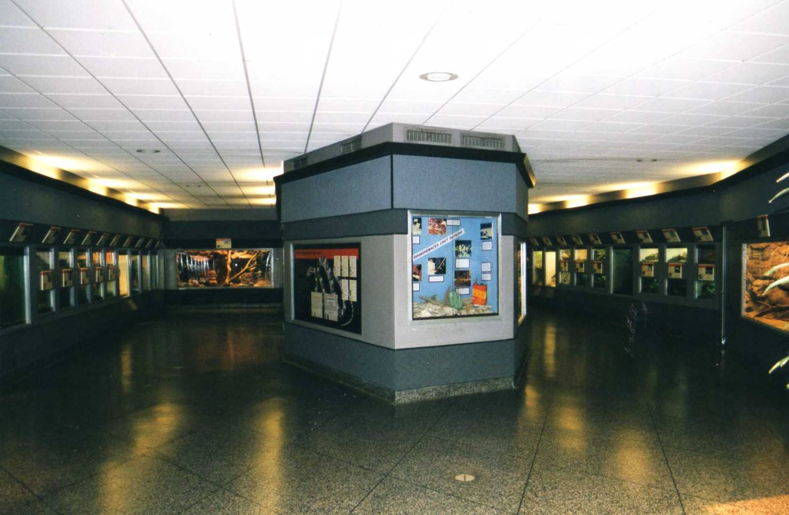 Inside Reptile House
