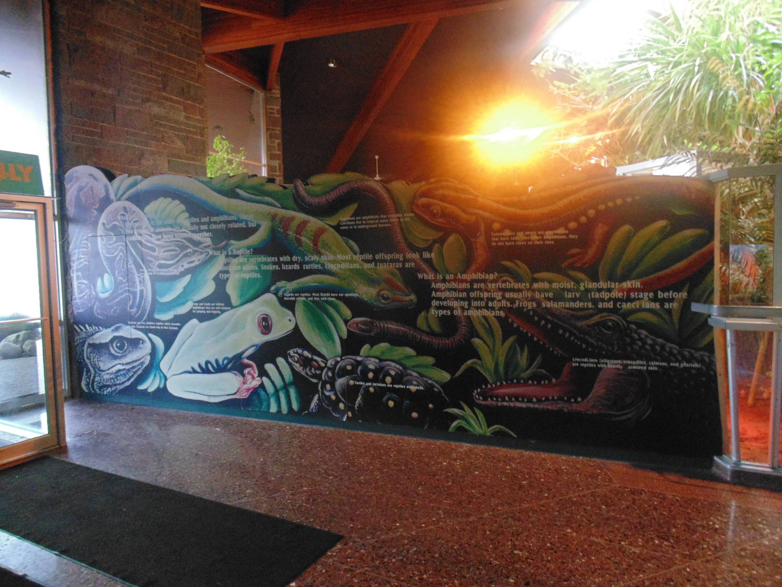 inside Reptile House