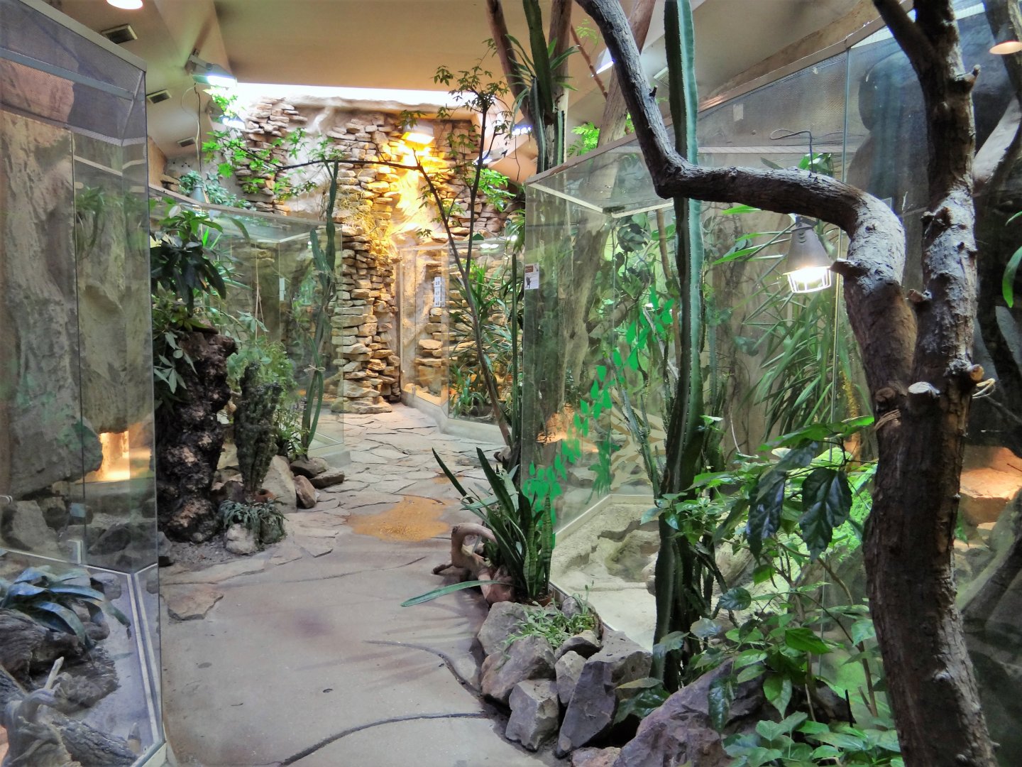 Inside Reptile House