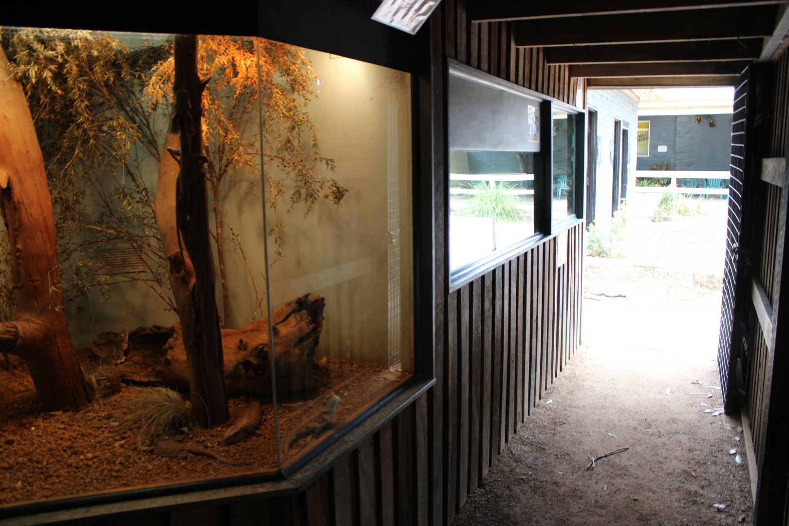 Inside Reptile House