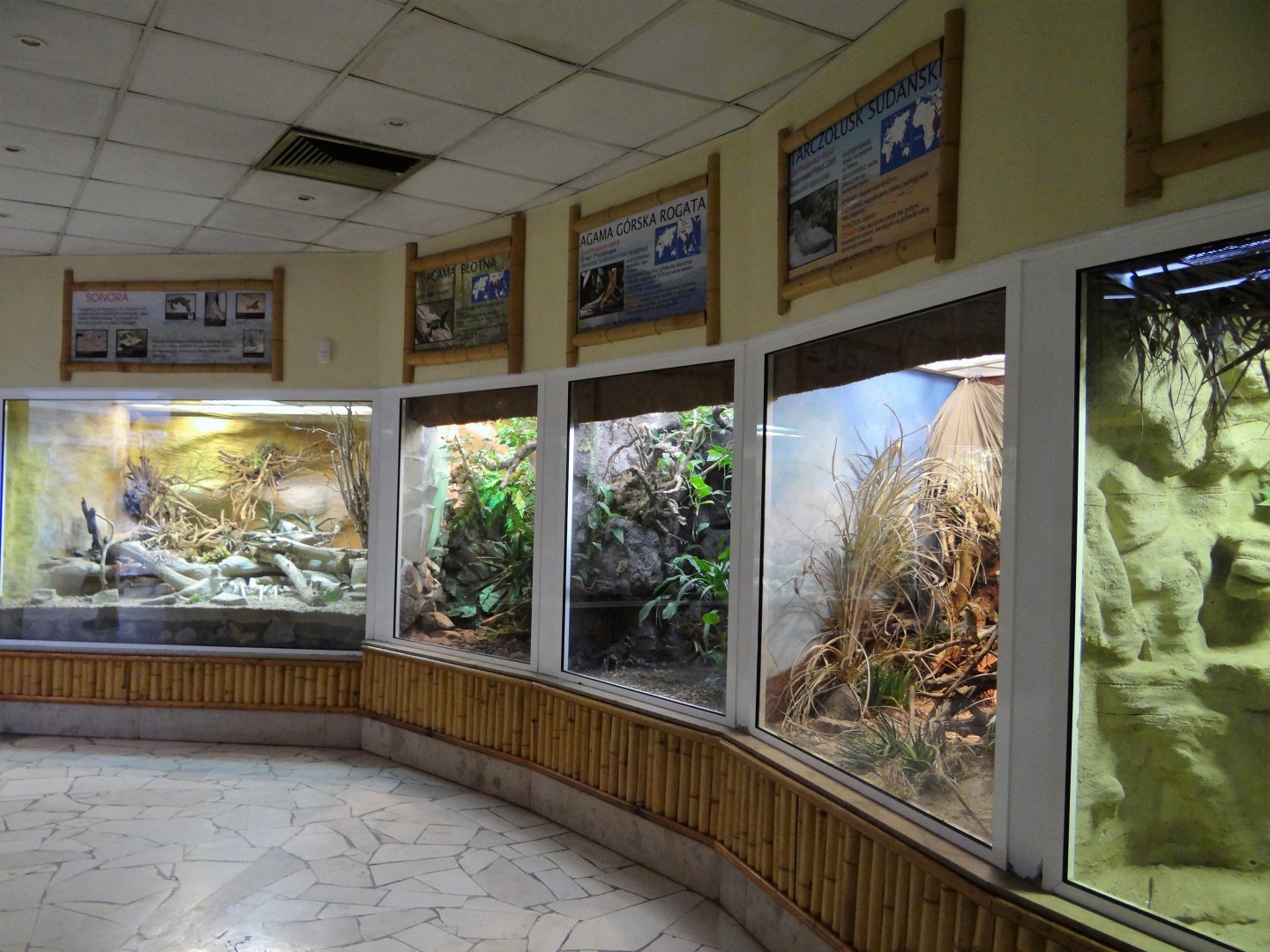 Inside Reptile House