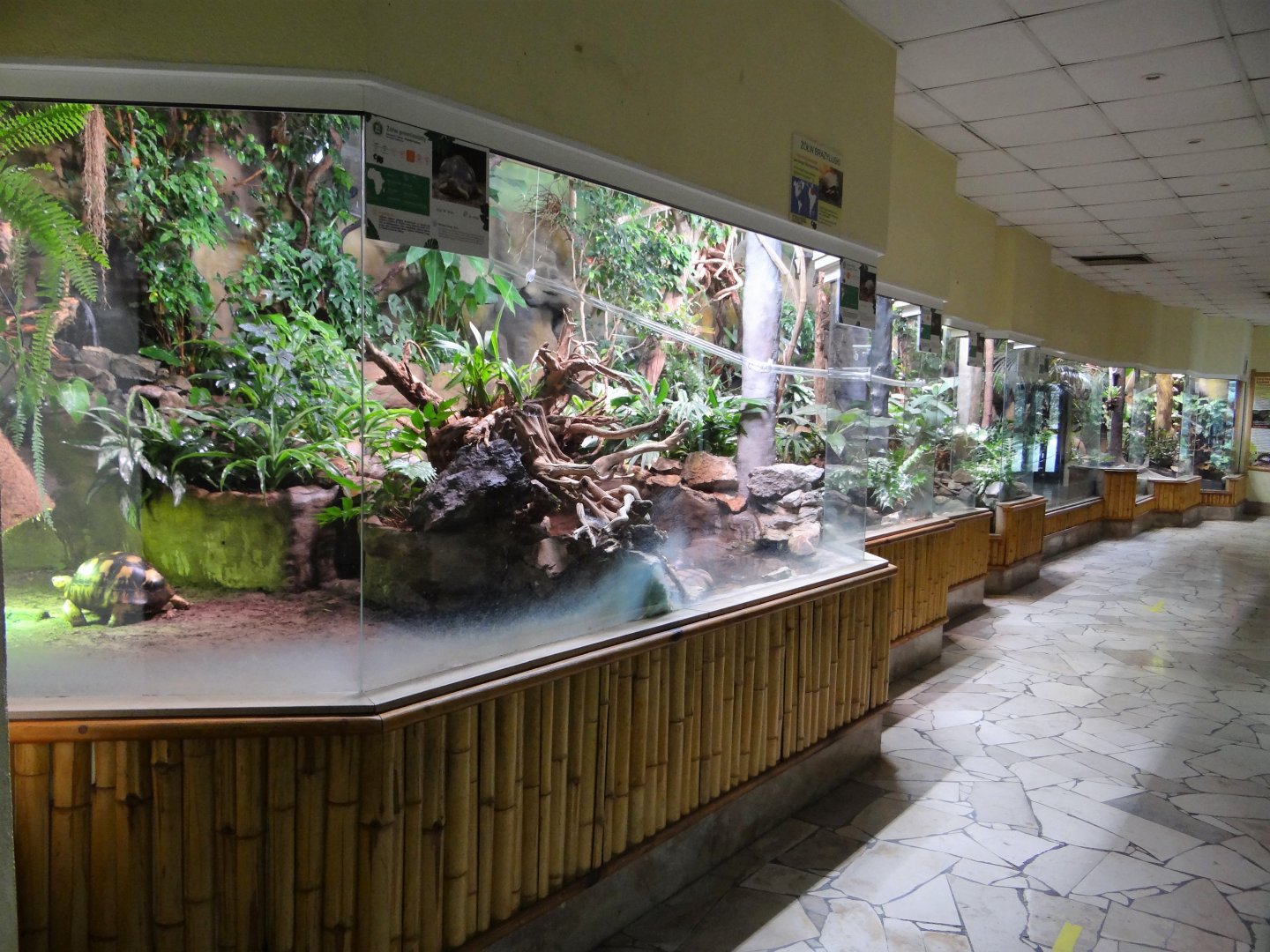 Inside Reptile House