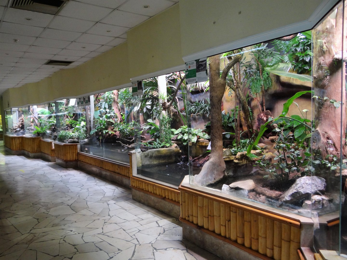 Inside Reptile House
