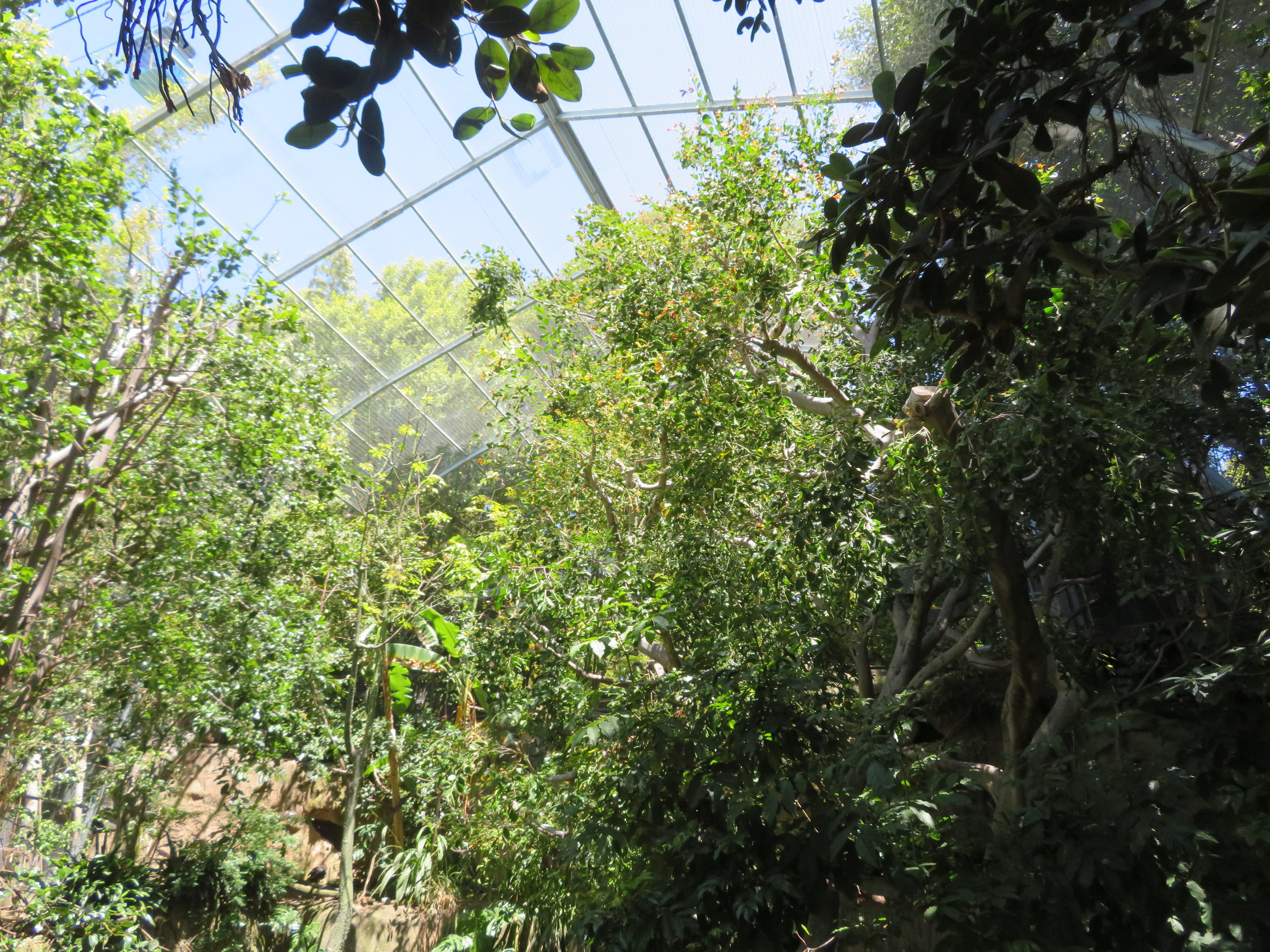 Inside Scripps Aviary