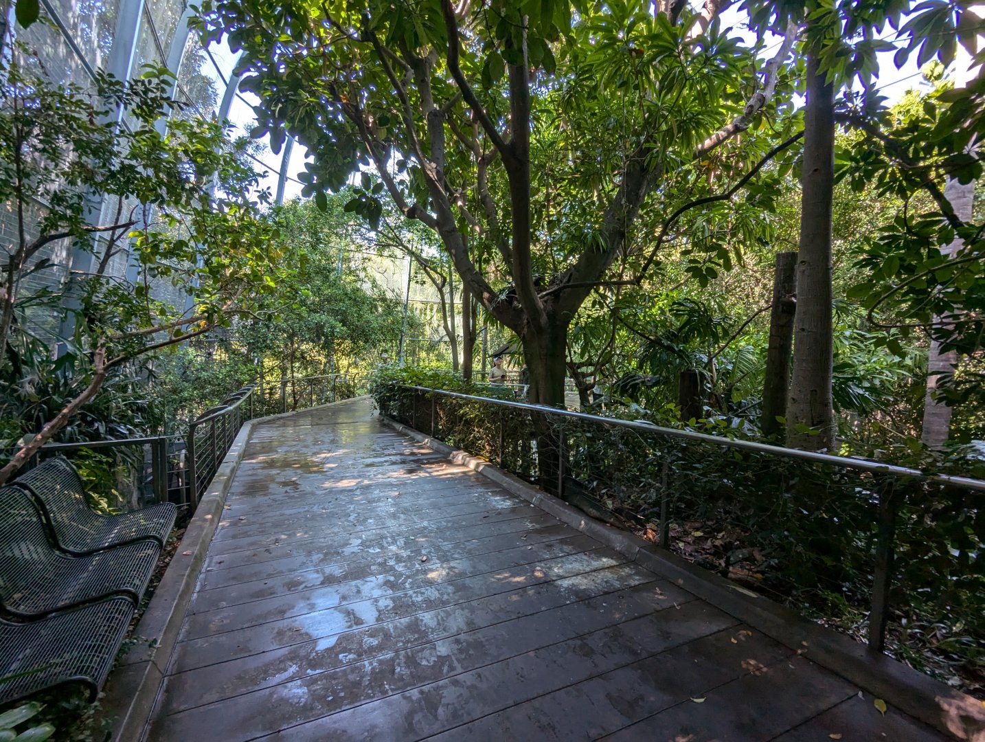 Inside Scripps Aviary