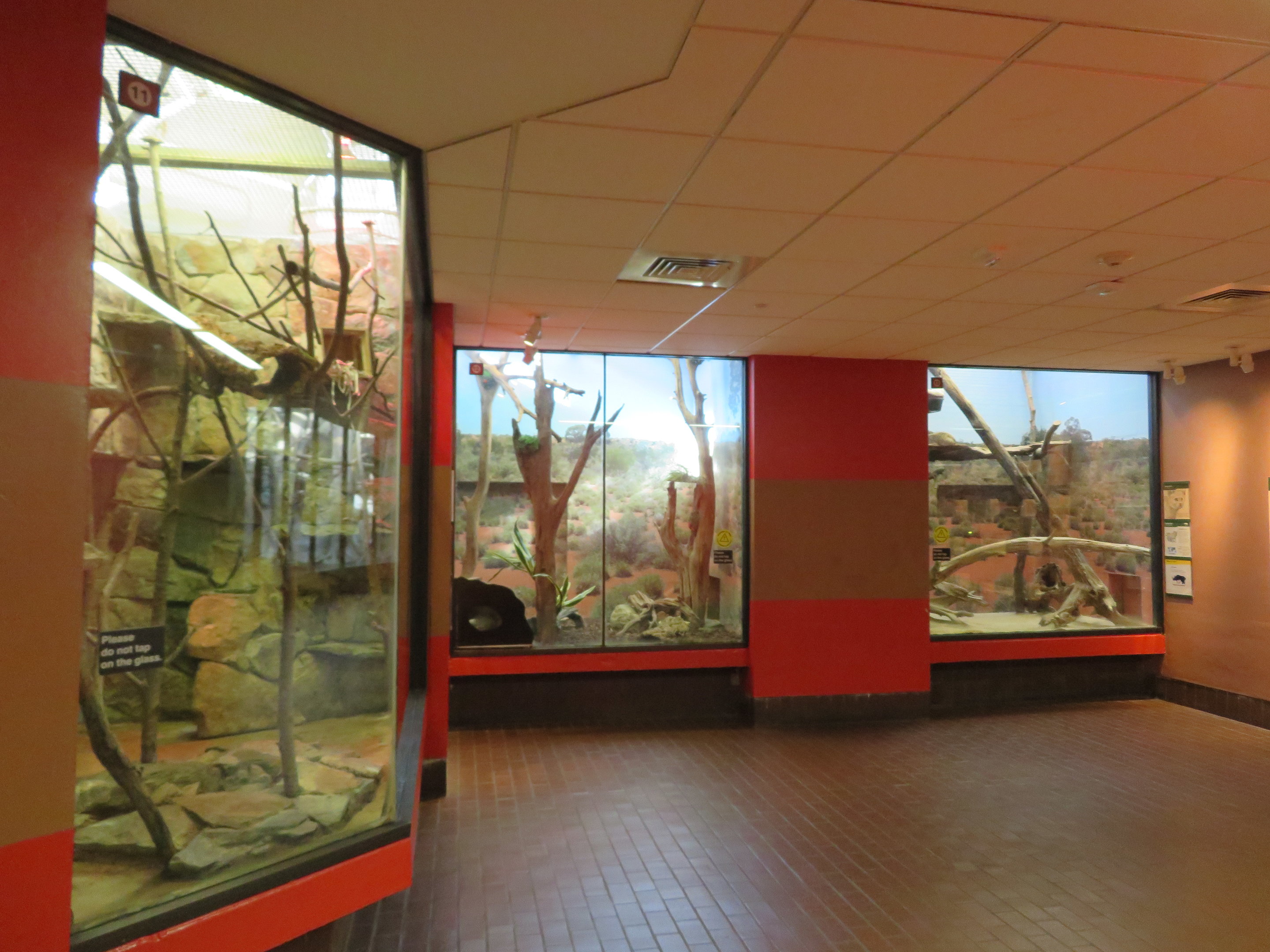 Inside Small Mammal House