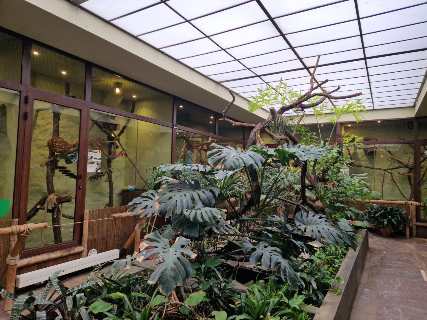 Inside small monkey building