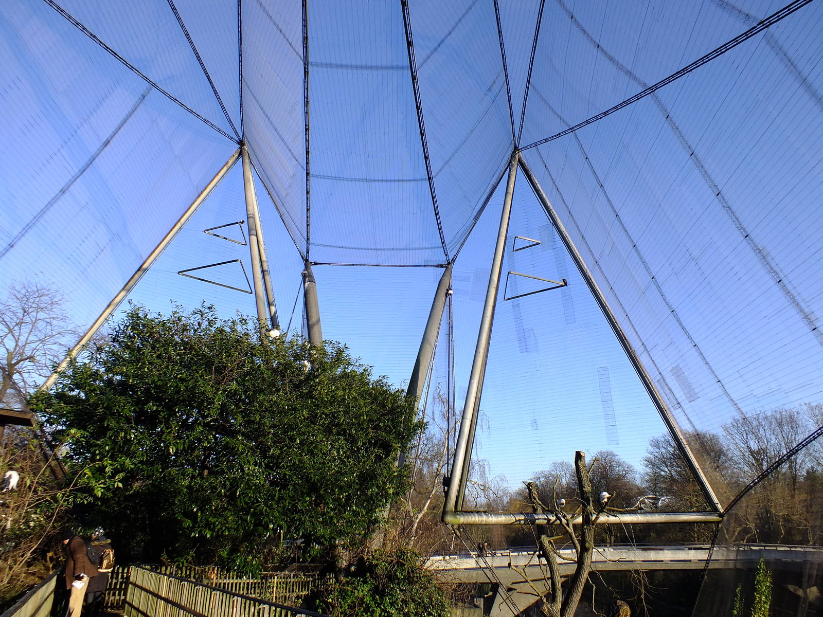 Inside Snowdon Aviary
