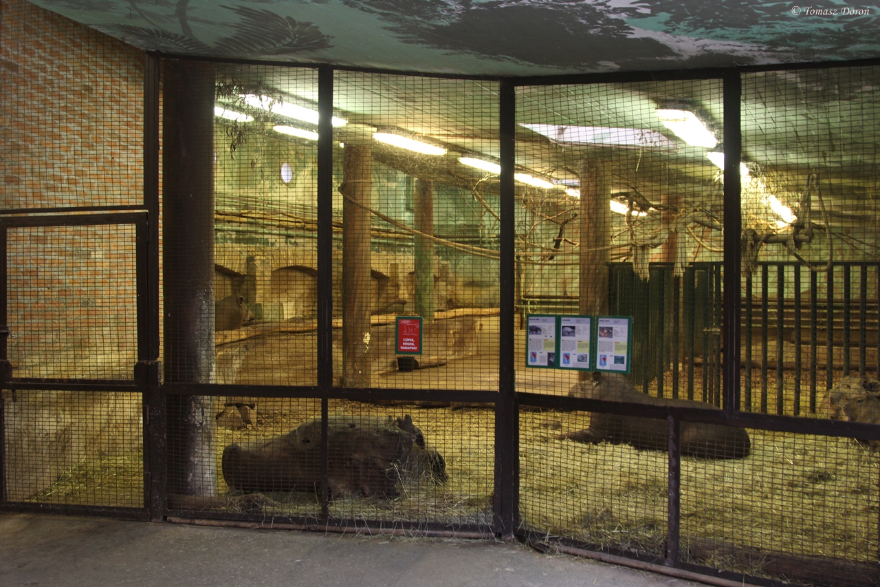 Inside South America House