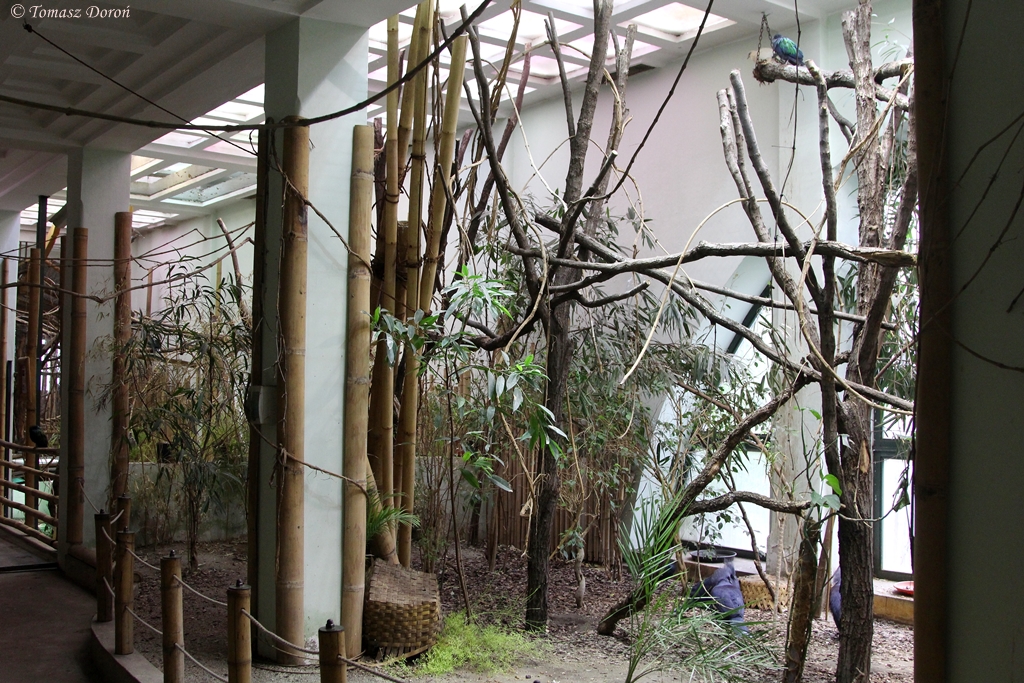 Inside South East Asia House