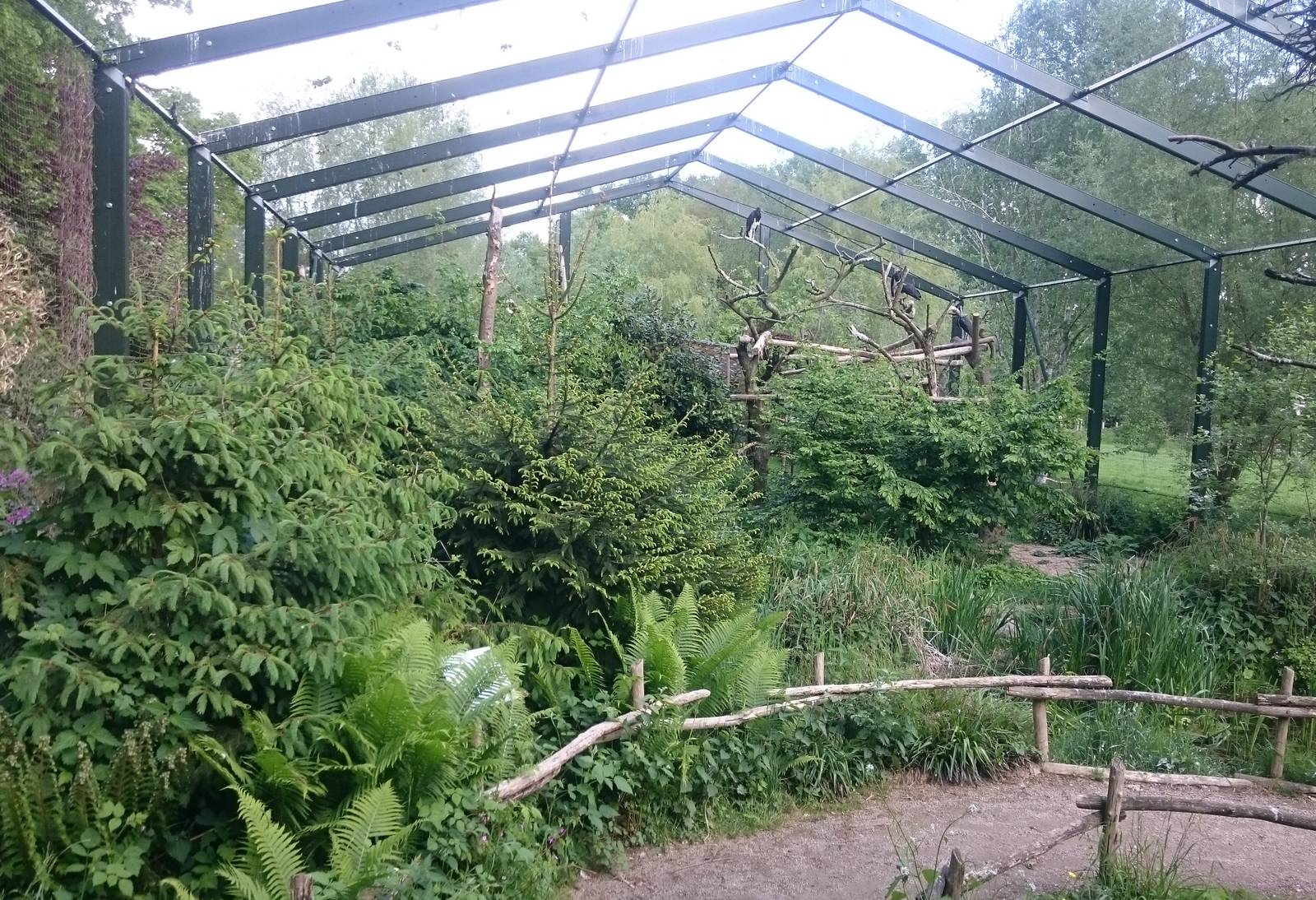 Inside stork-aviary