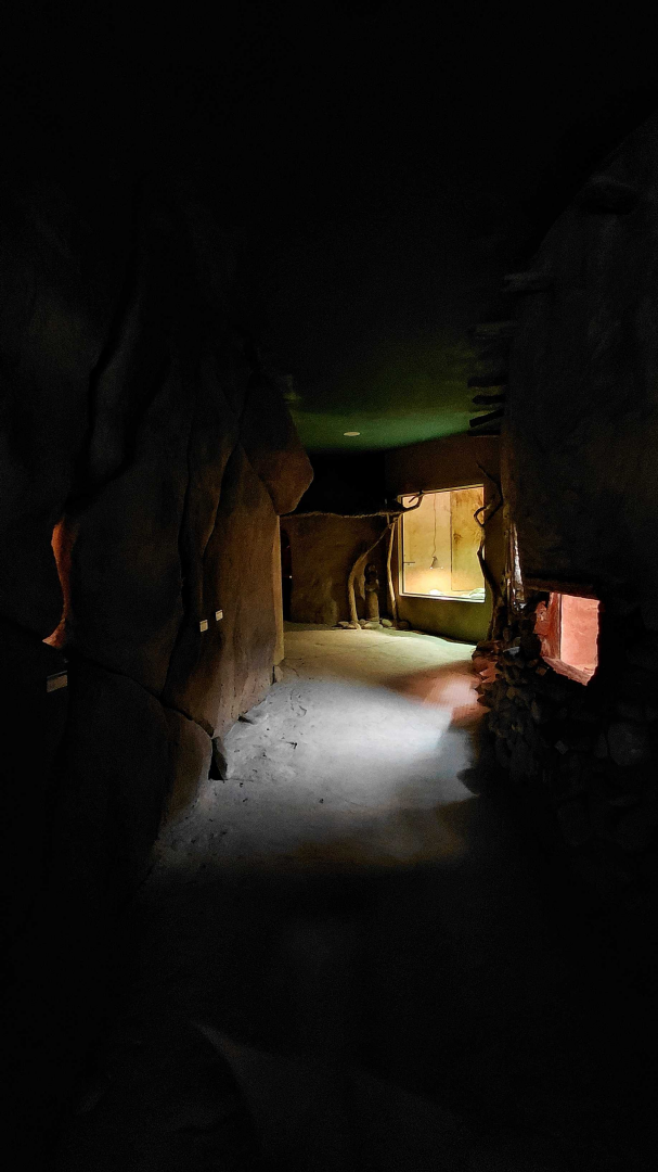 Inside the Africa Up Close house