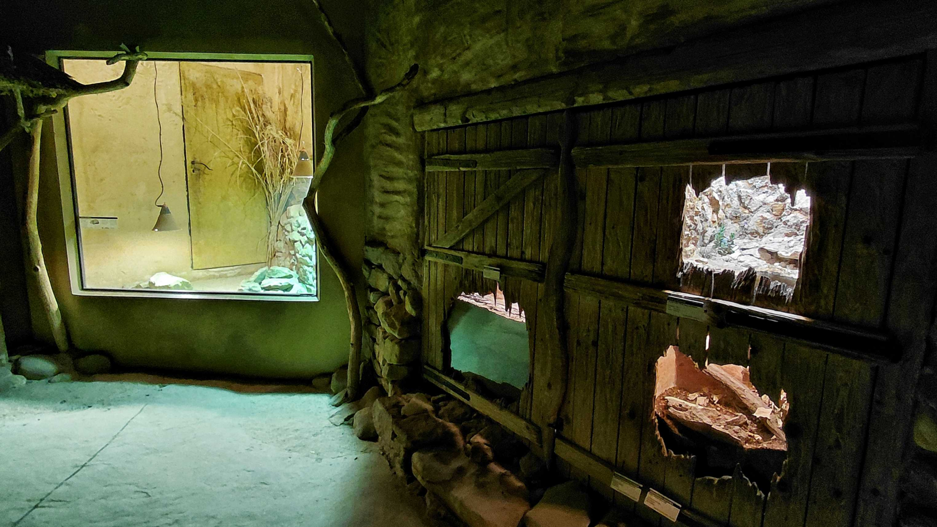 Inside the Africa Up Close house