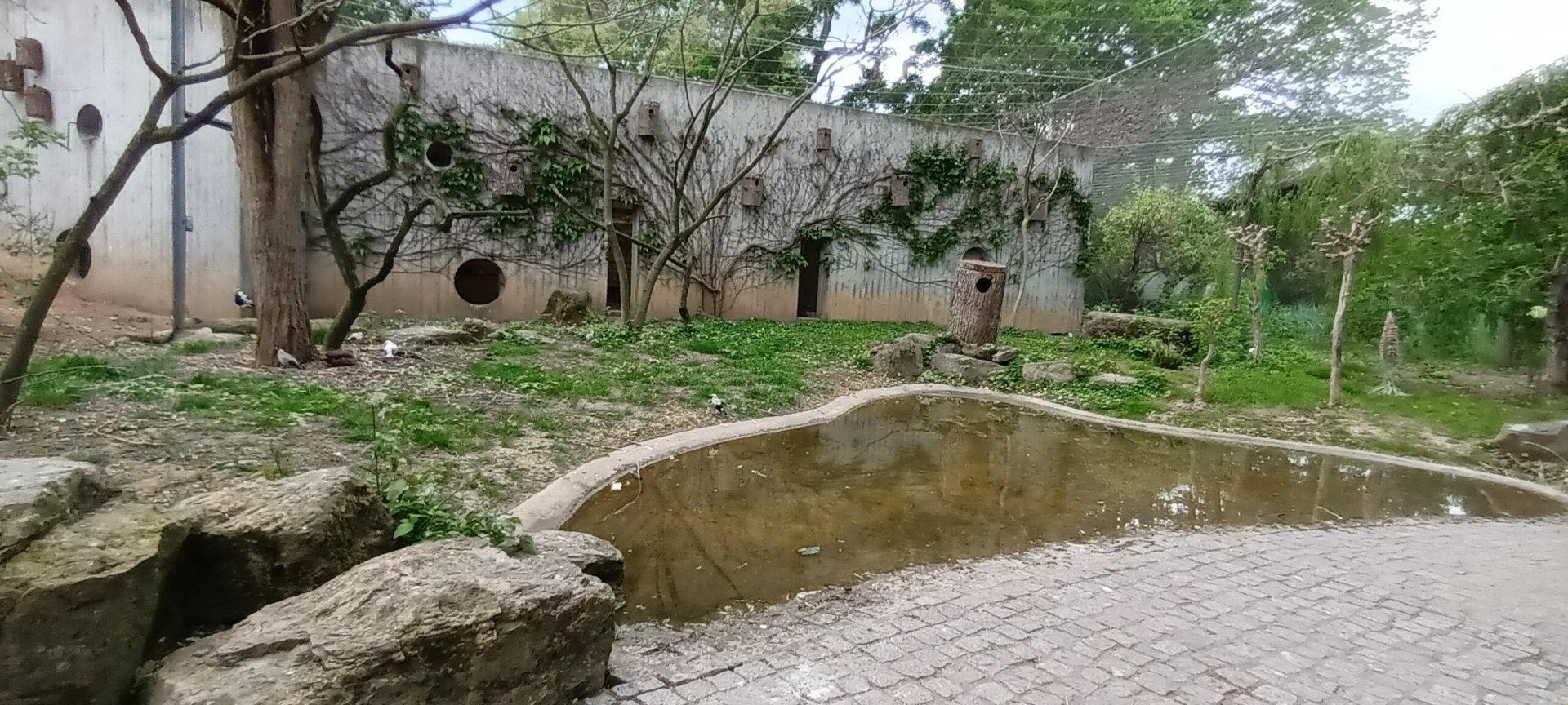 Inside the African freeflight Aviary