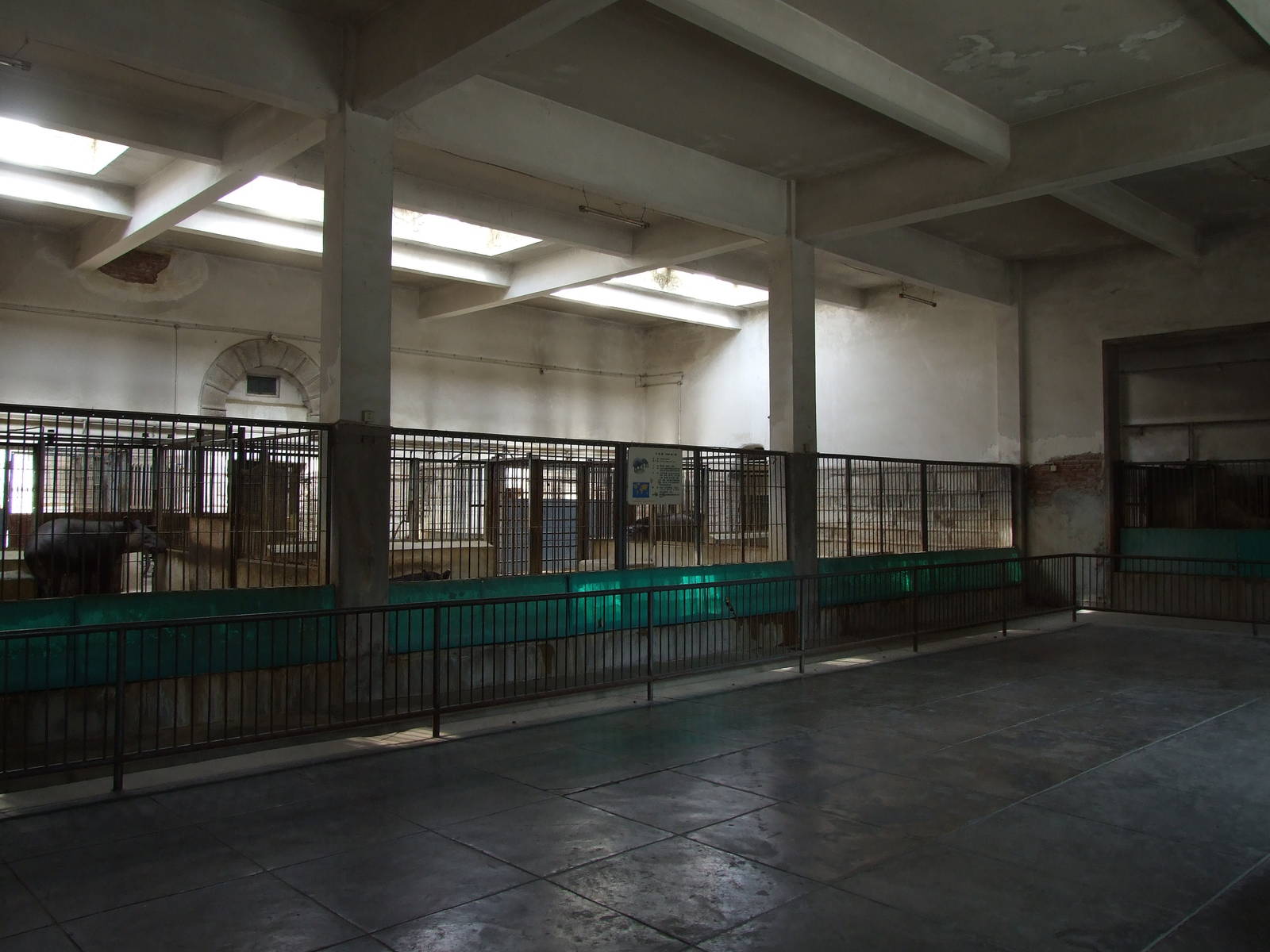 Inside the American tapir house