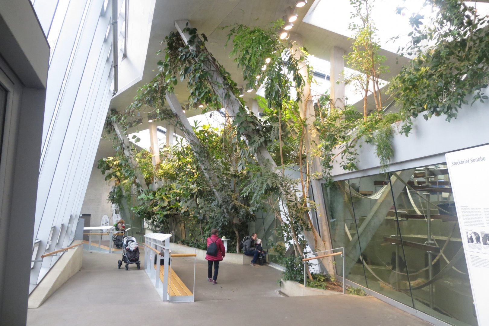 Inside the 'Ape House' 011218