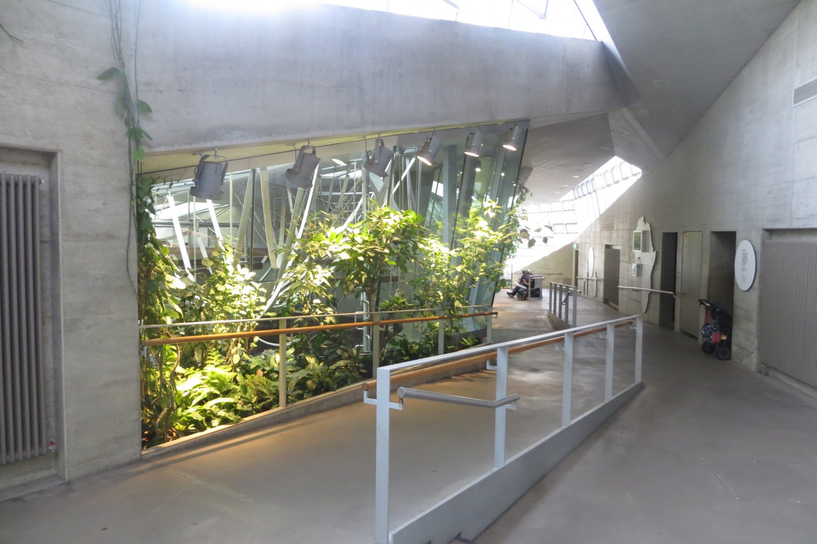 Inside the 'Ape House' 011218