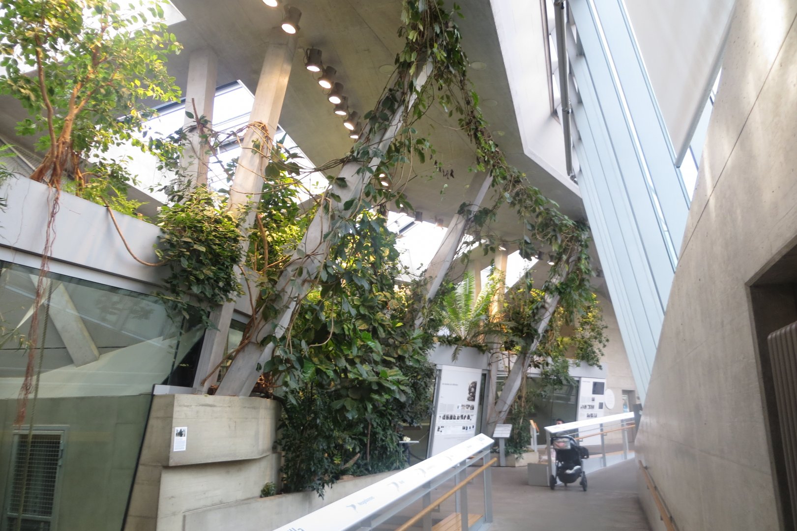 Inside the 'Ape House' 011218