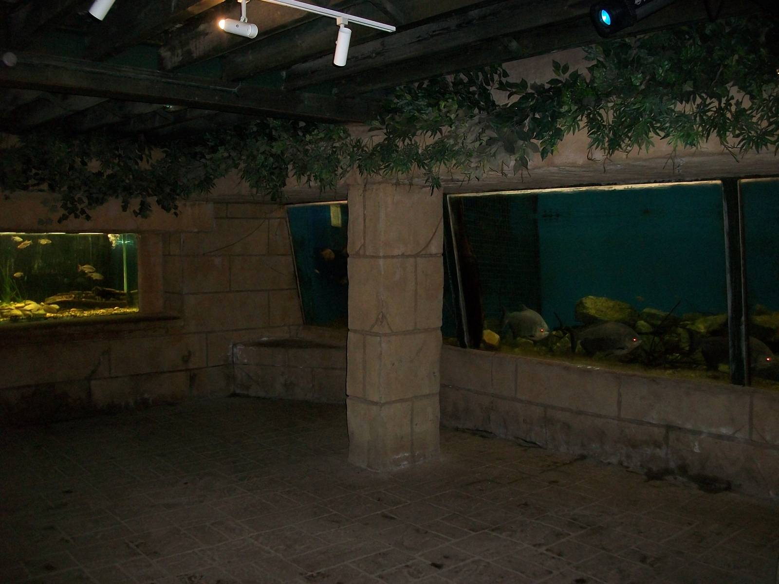 Inside the aquarium, 6th May 2014