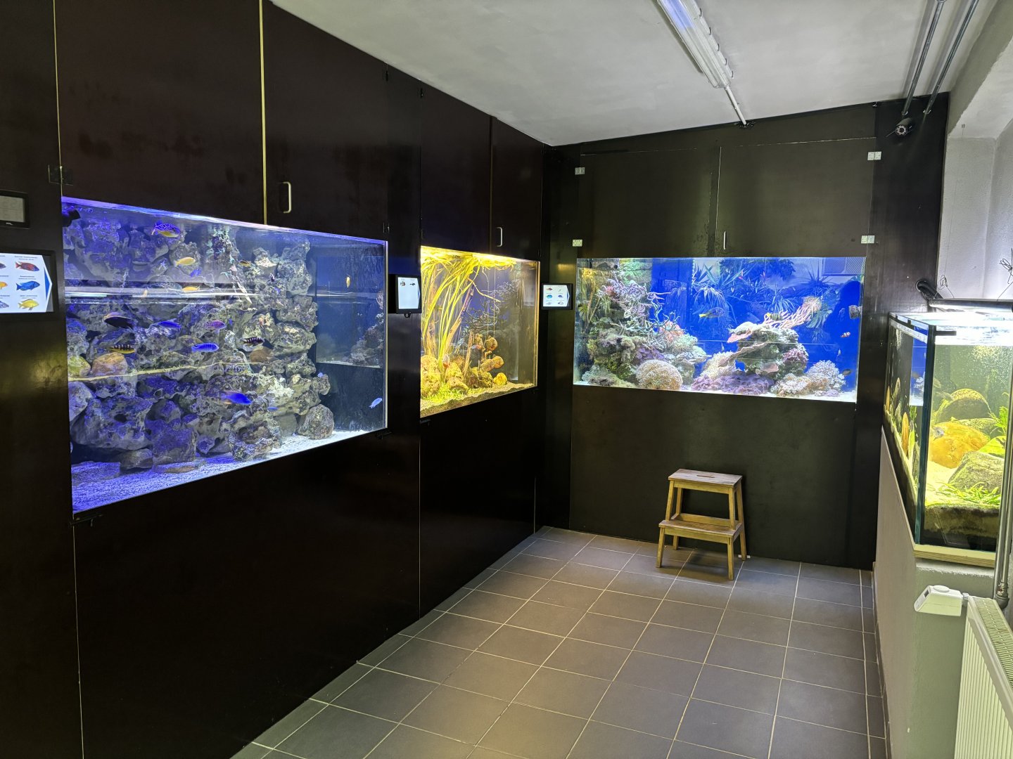 Inside the Aquarium at Zoo Wassertstern (Ingolstadt)