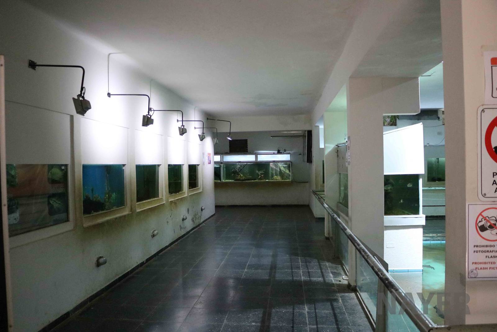 Inside the aquarium, March 2016