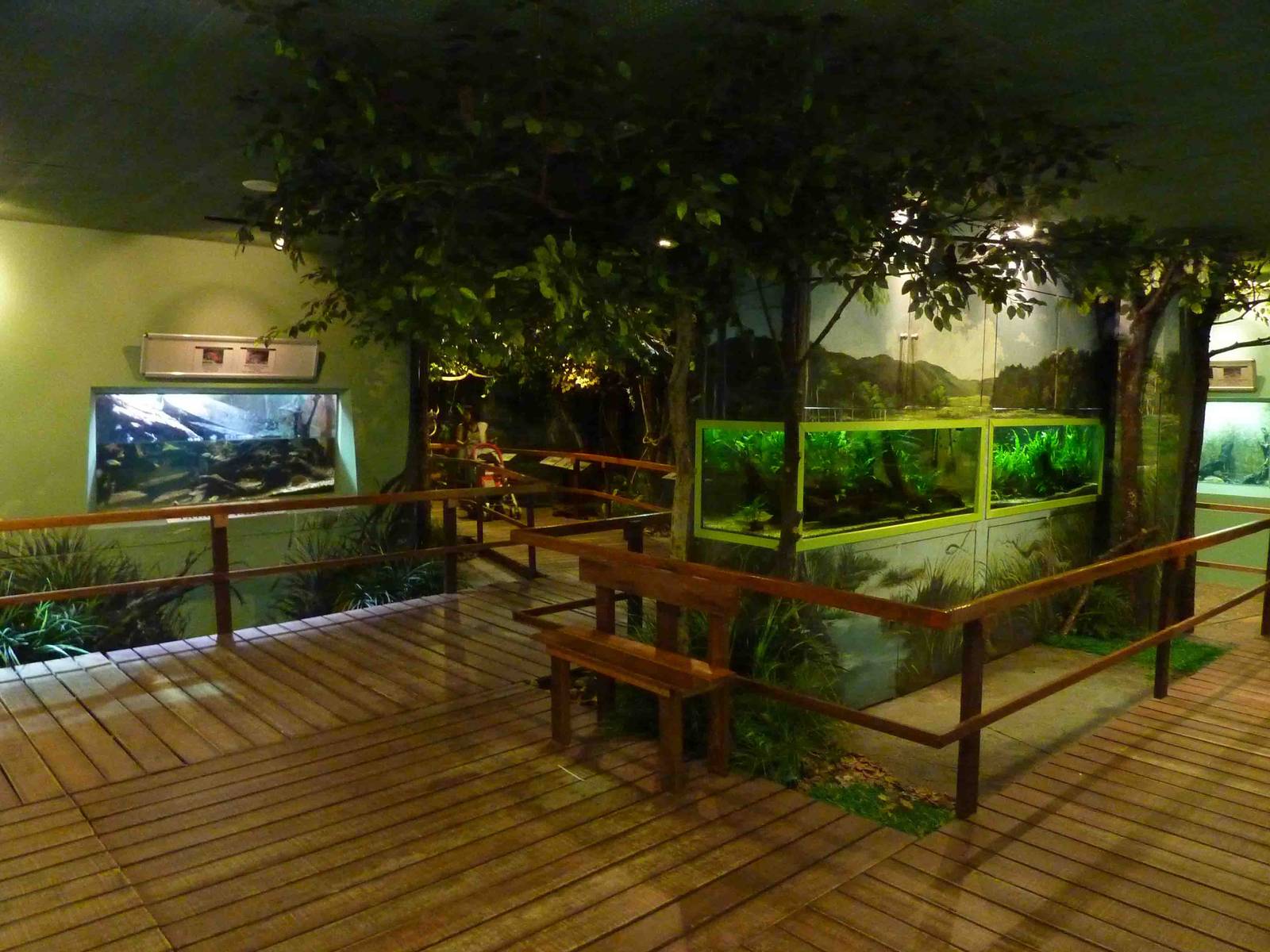 Inside the aquarium, May 2013.