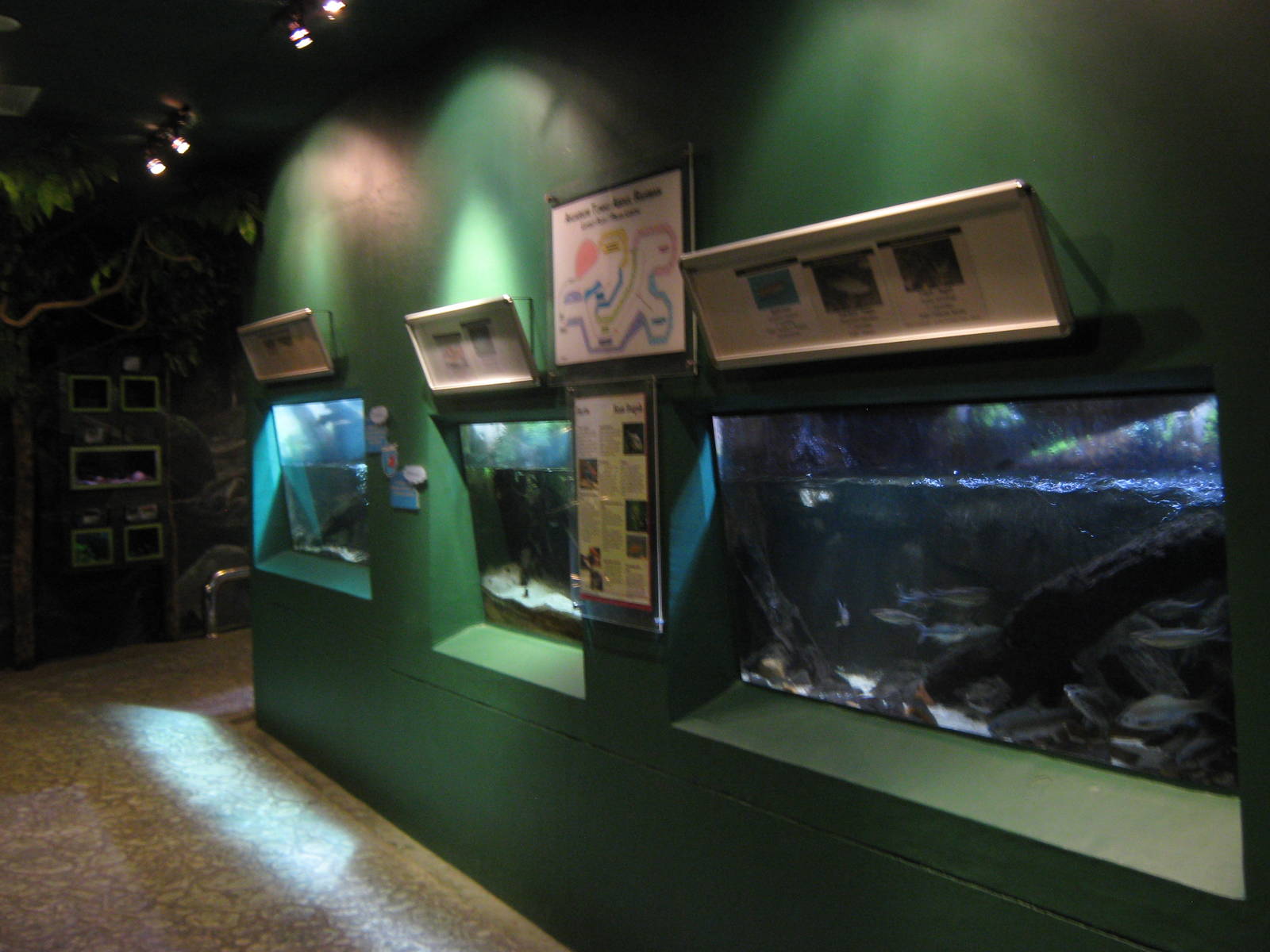 inside the Aquarium