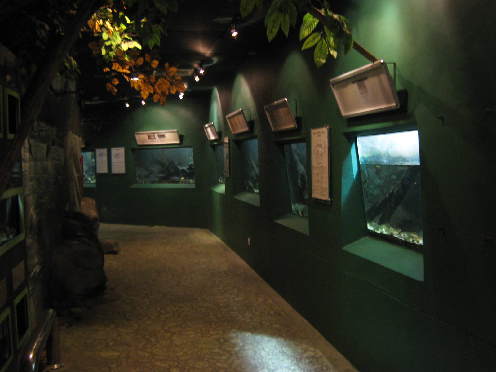inside the Aquarium