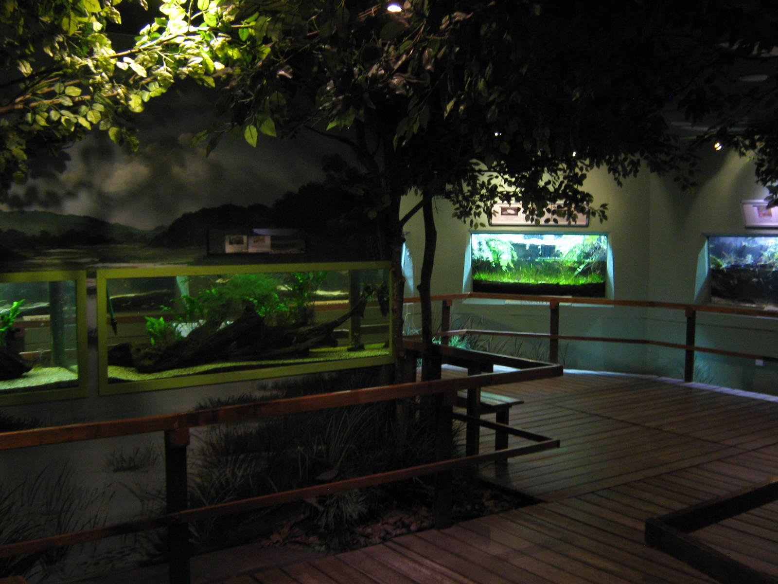 inside the Aquarium