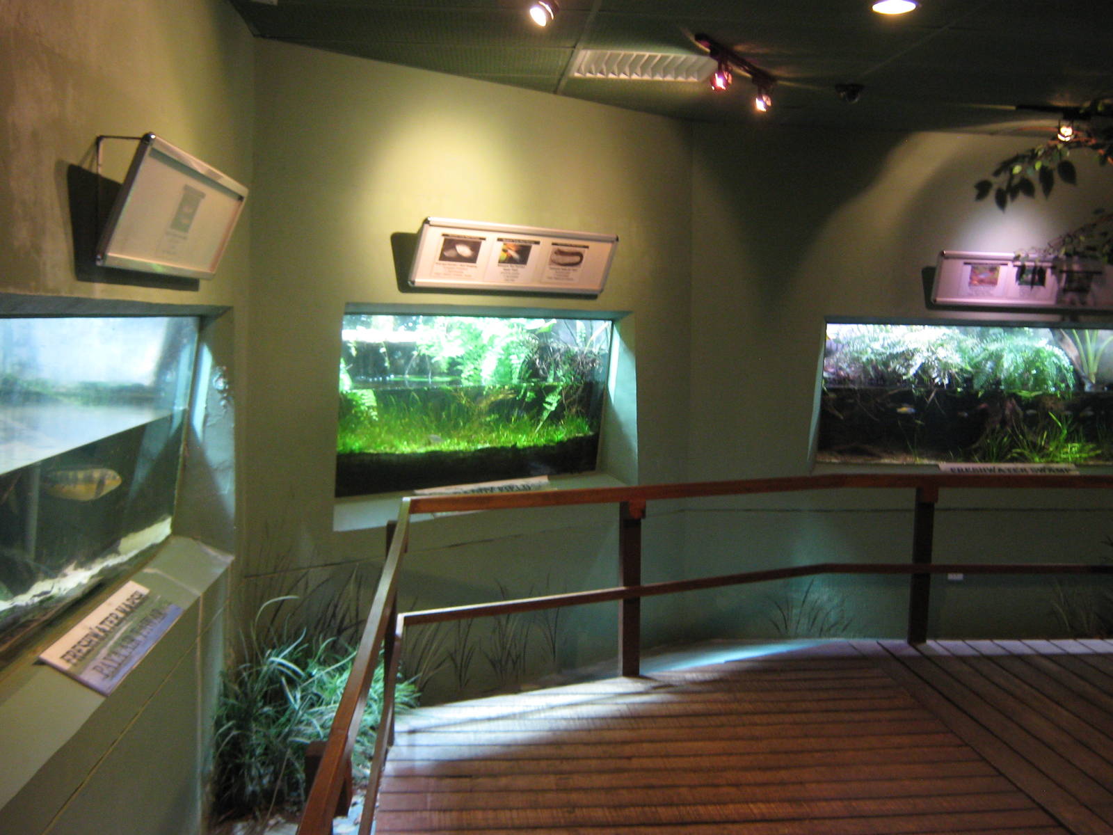 inside the Aquarium