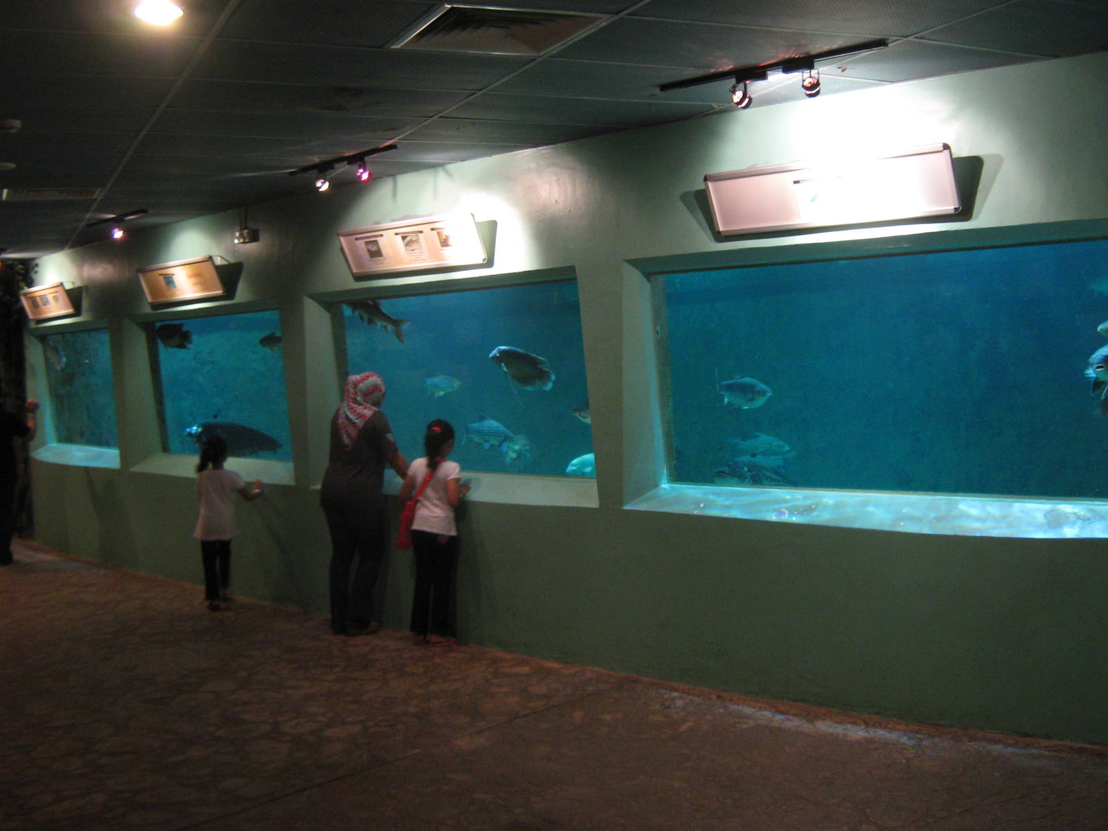 inside the Aquarium