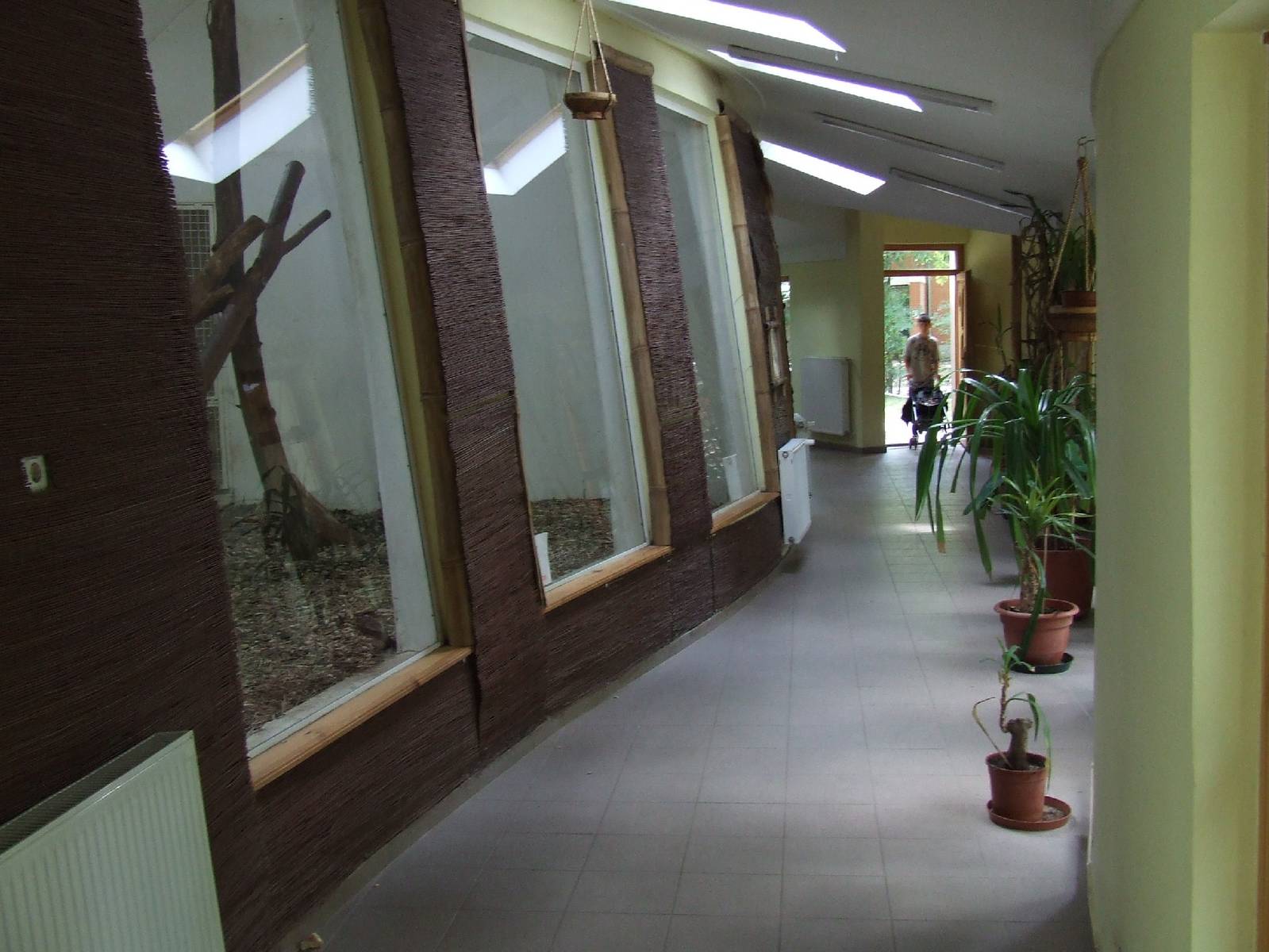 Inside the Asia House @ Szeged Zoo, Hungary