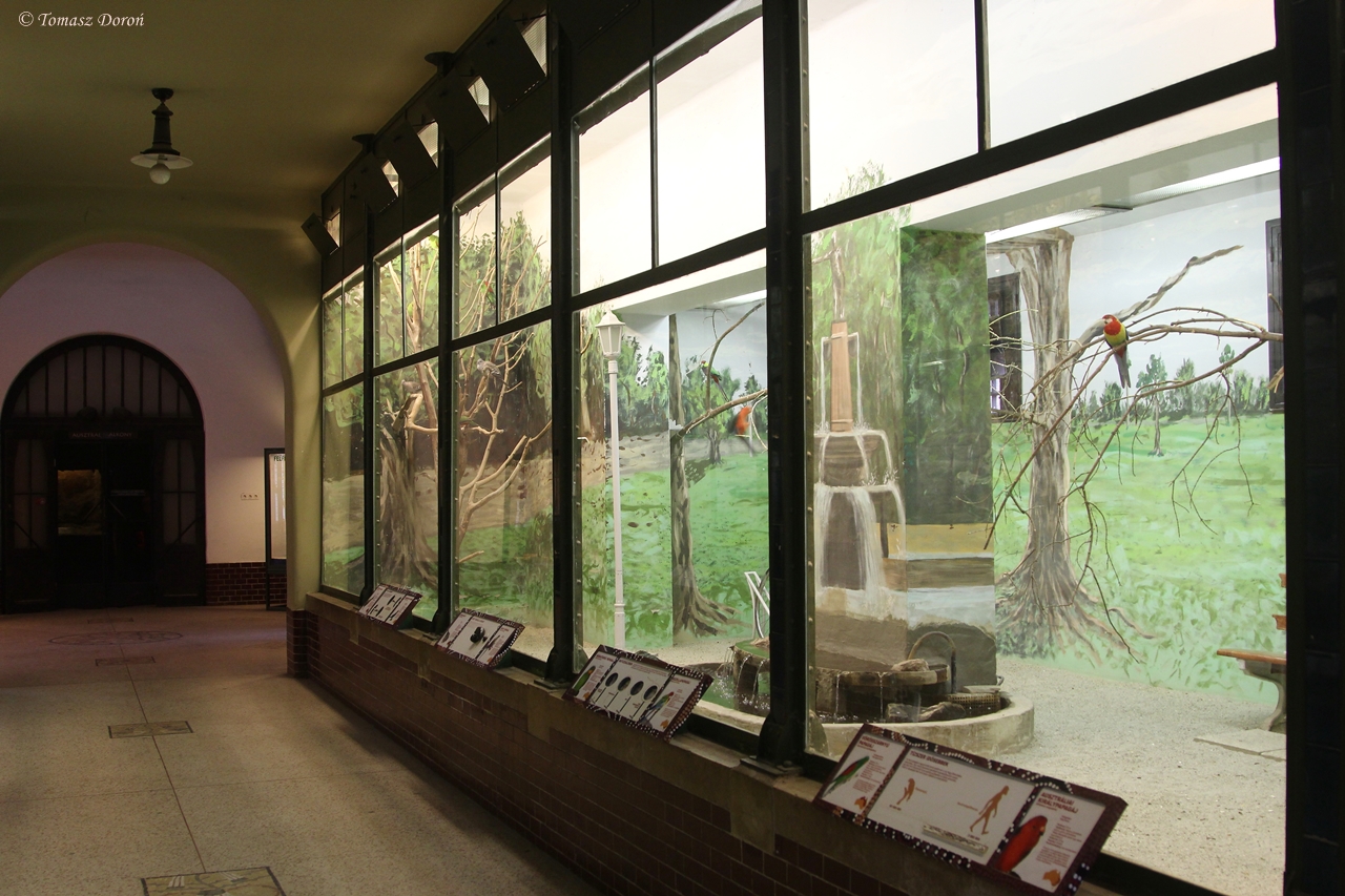 Inside the Austarlia House