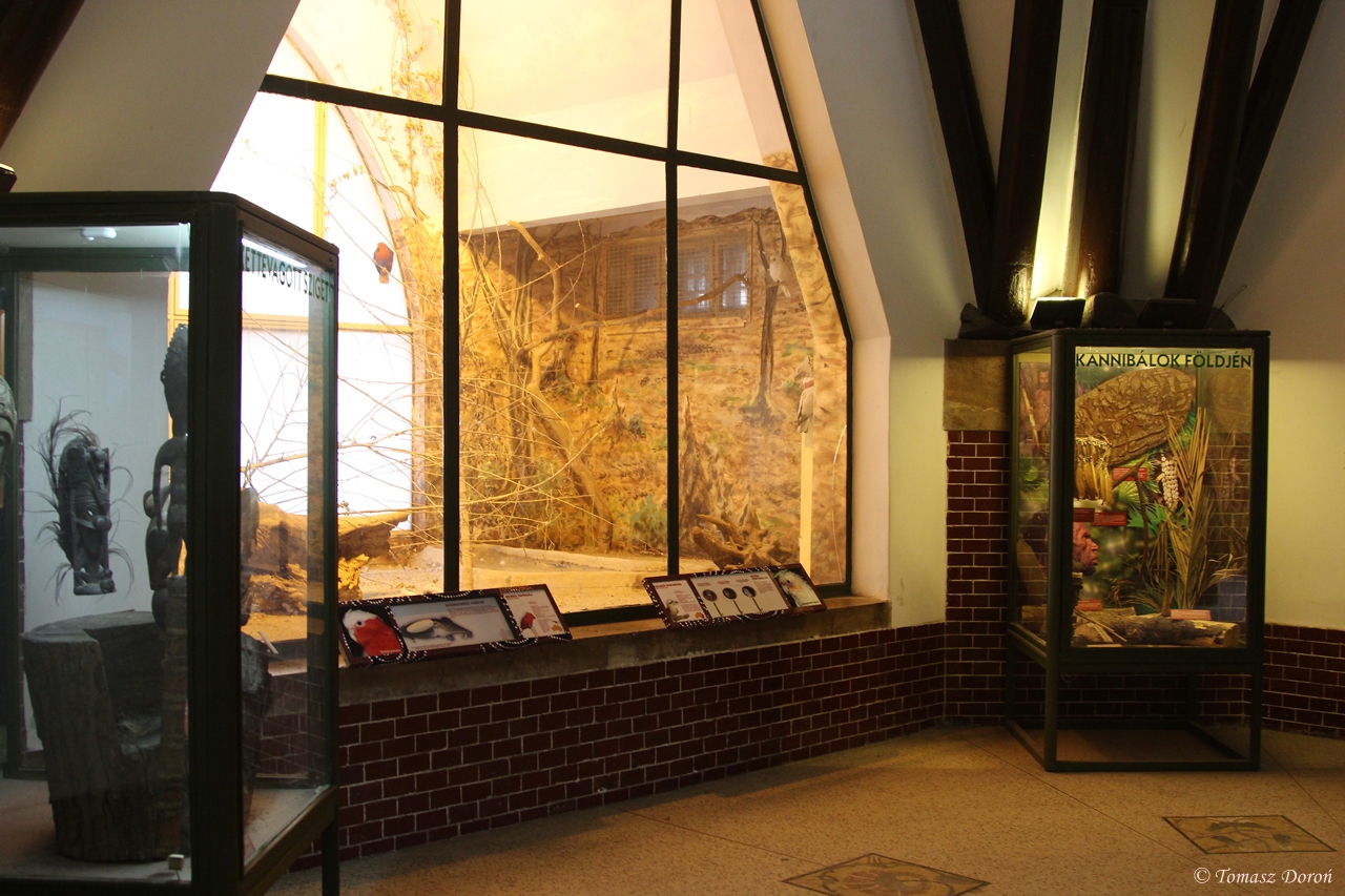 Inside the Australia House