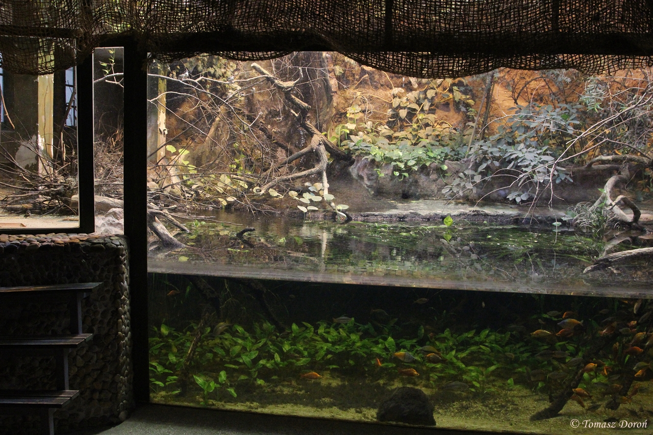 Inside the Australia House
