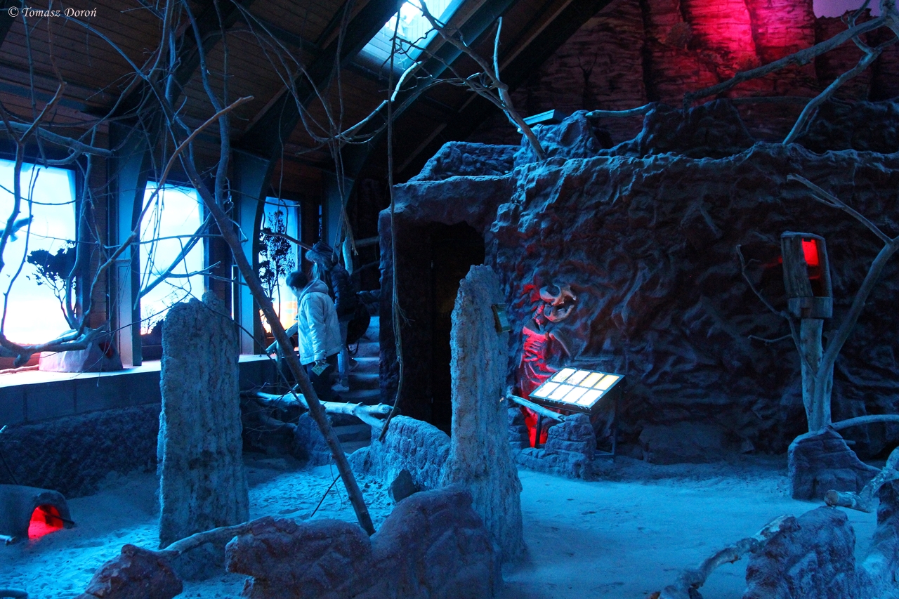 Inside the Australia House
