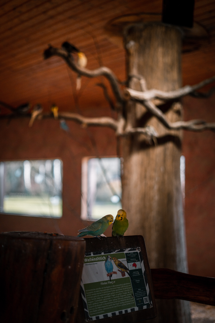 Inside the Australia house