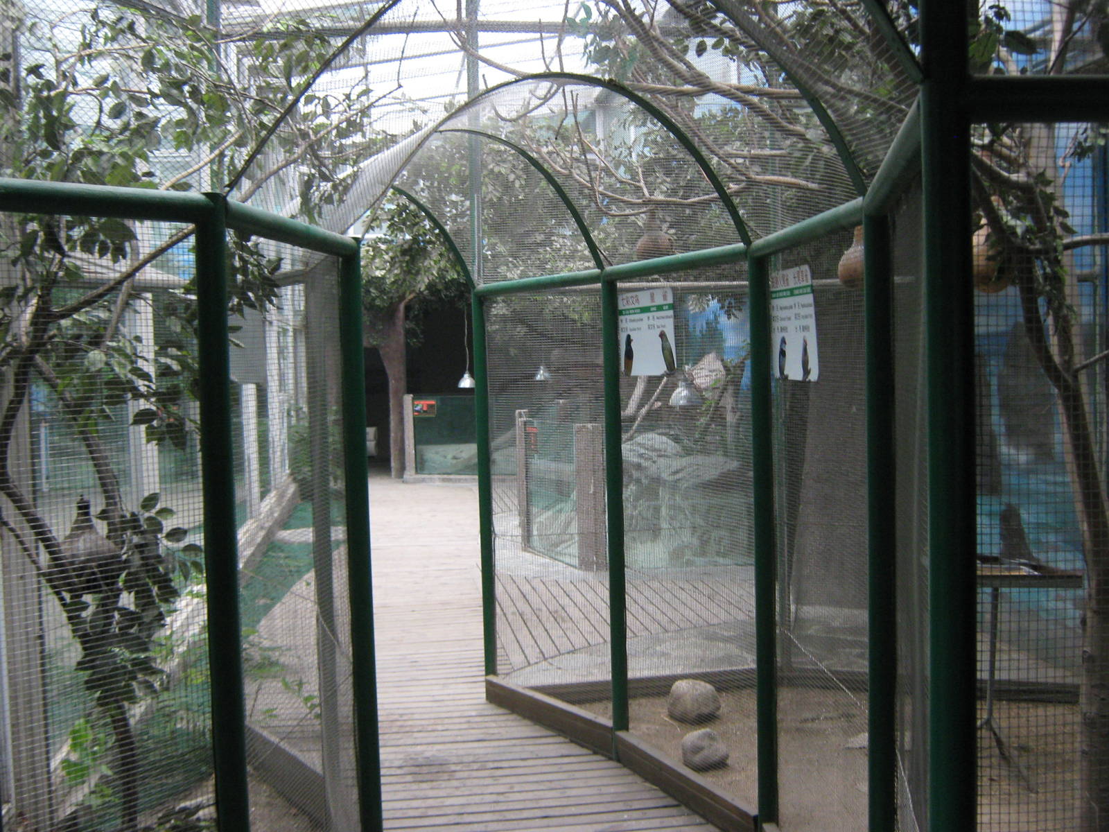 inside the Australian house