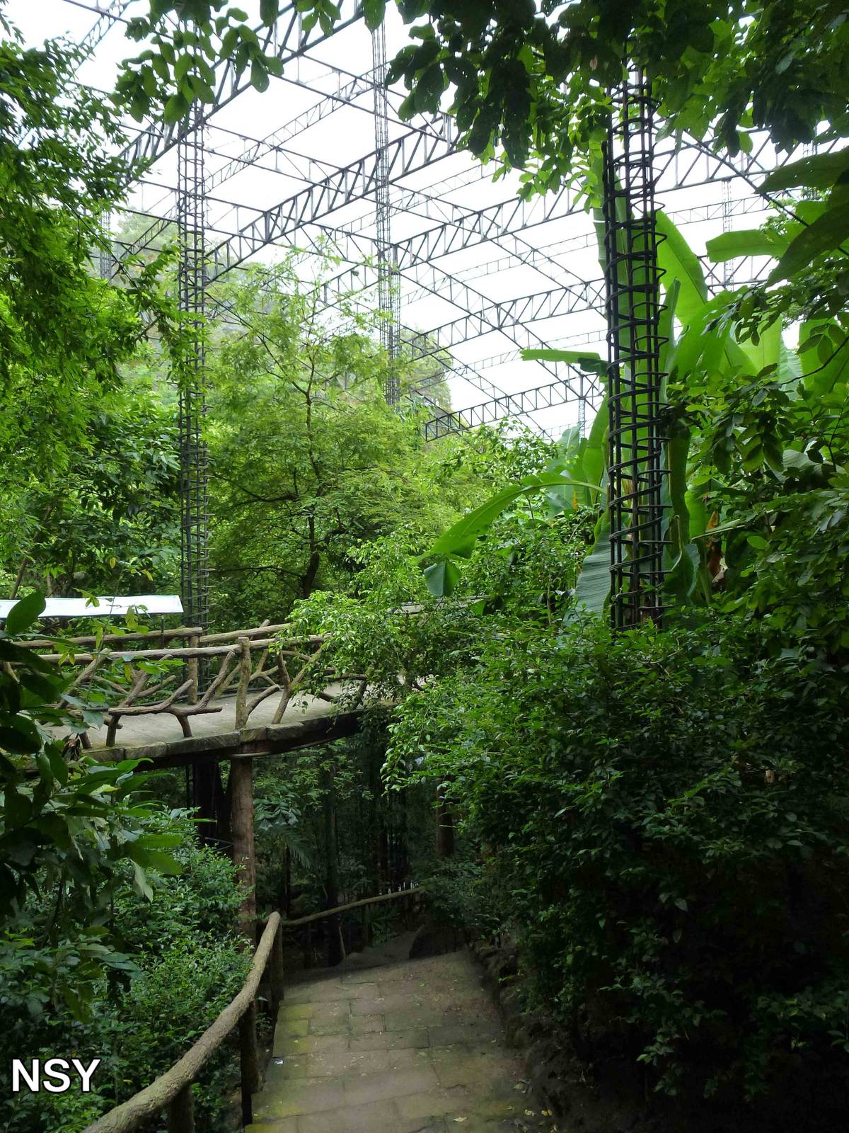 Inside the aviary, June 2013.