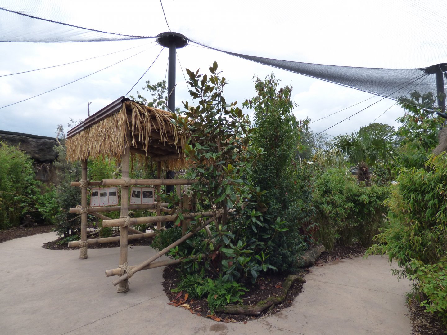 Inside the aviary