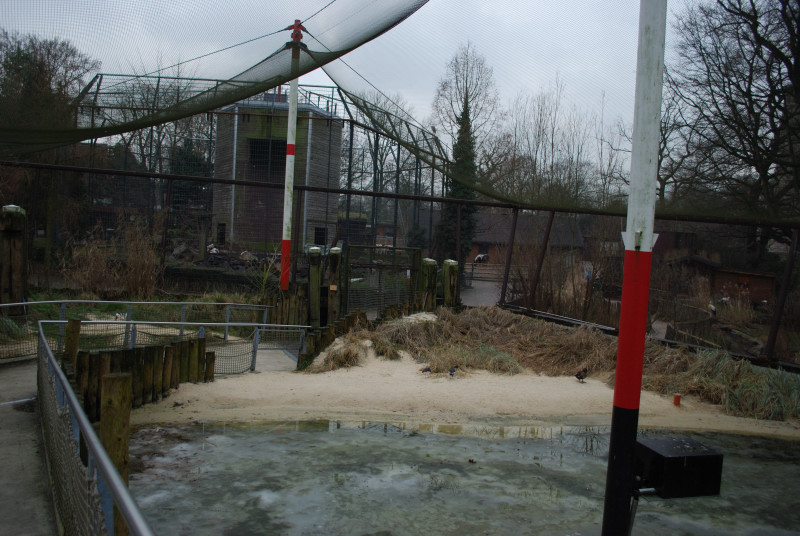 Inside the beach aviary