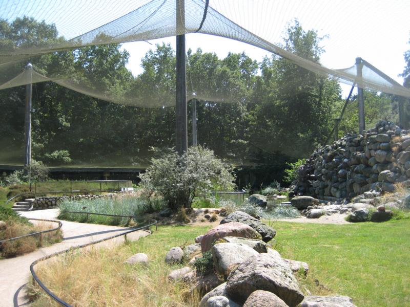 Inside the Beachbird Aviary