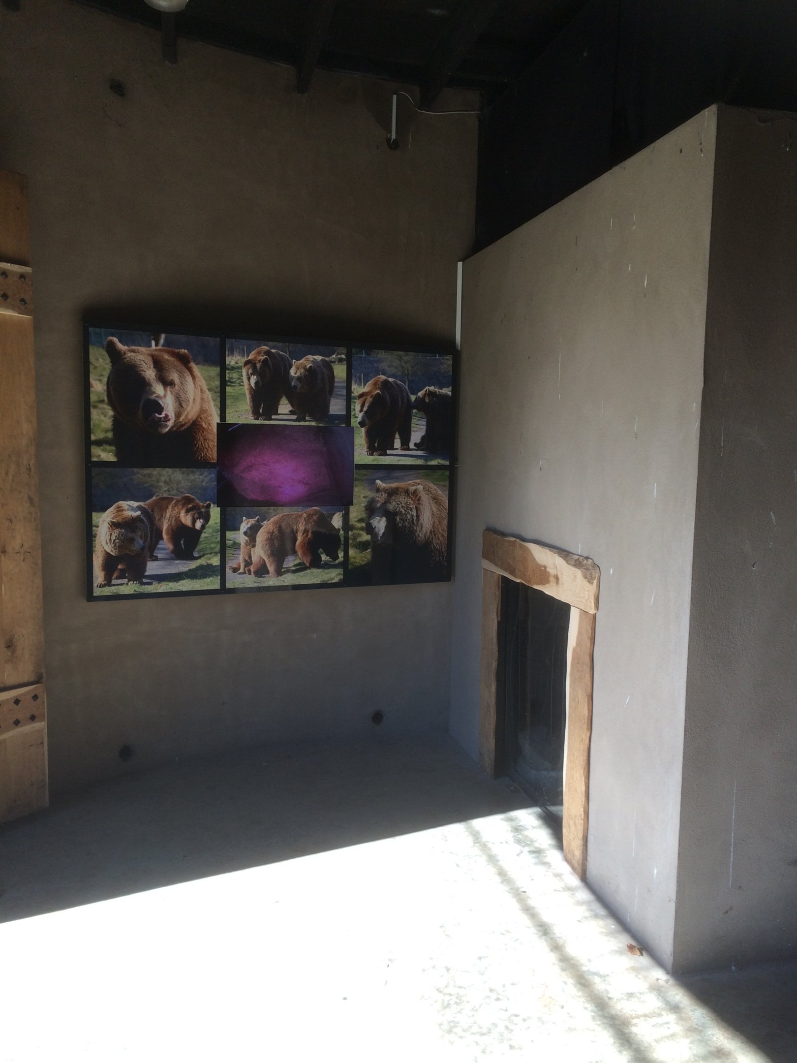 Inside the bear tower